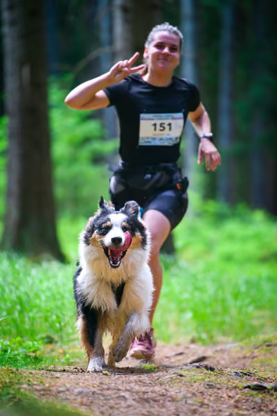 Krkonošský canicross - Jilemnice – 30. května 2026