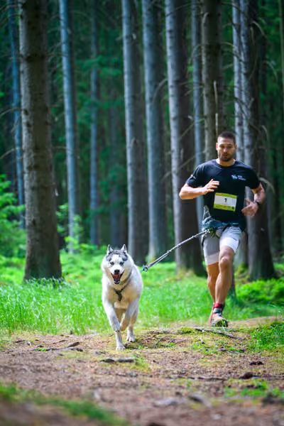 Krkonošský canicross - Jilemnice – 30. května 2026