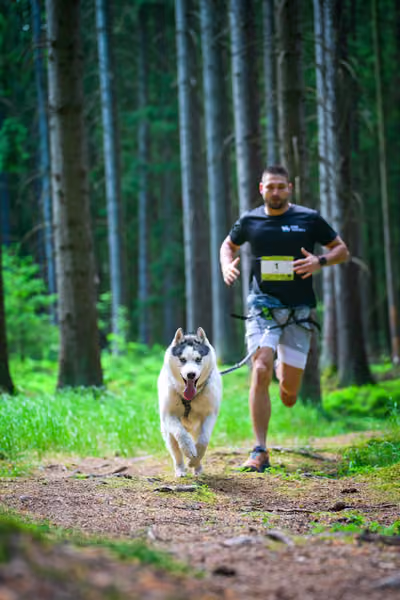Krkonošský canicross - Jilemnice – 30. května 2026