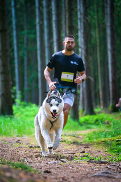 Krkonošský canicross - Jilemnice – 30. května 2026
