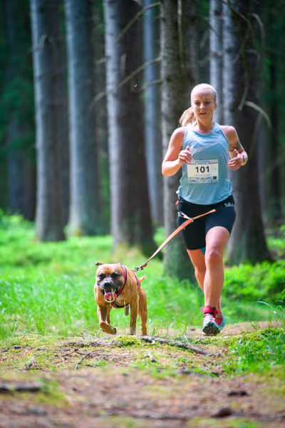 Krkonošský canicross - Jilemnice – 30. května 2026