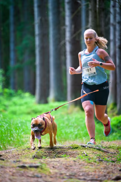 Krkonošský canicross - Jilemnice – 30. května 2026