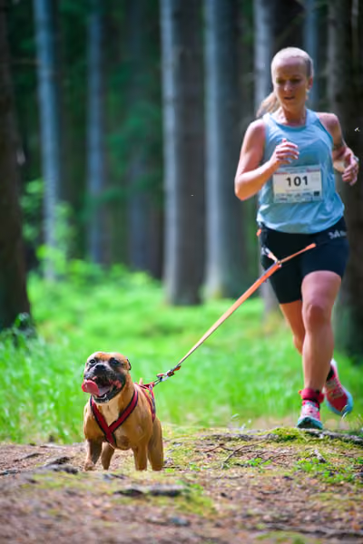 Krkonošský canicross - Jilemnice – 30. května 2026