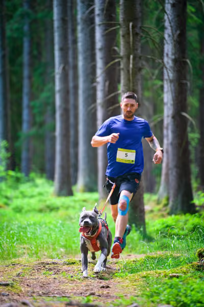 Krkonošský canicross - Jilemnice – 30. května 2026