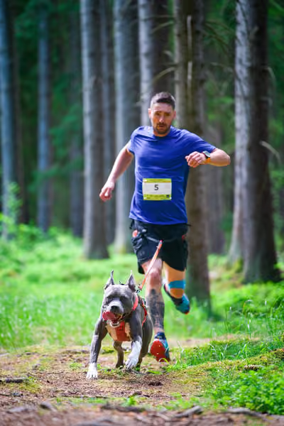 Krkonošský canicross - Jilemnice – 30. května 2026