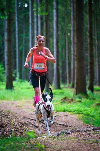 Krkonošský canicross - Jilemnice – 30. května 2026