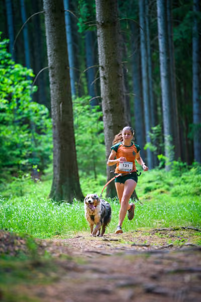 Krkonošský canicross - Jilemnice – 30. května 2026