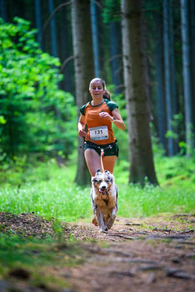 Krkonošský canicross - Jilemnice – 30. května 2026