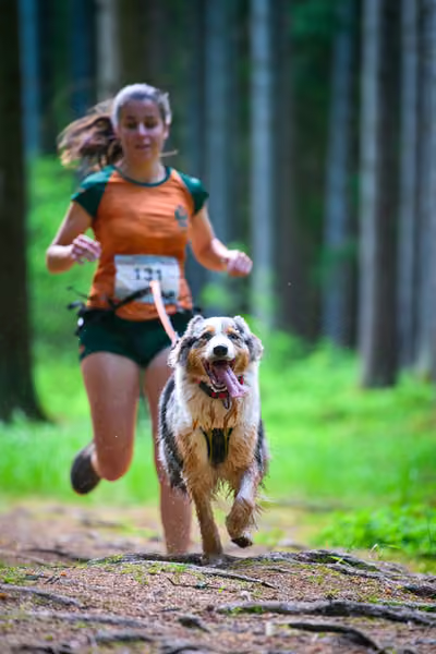 Krkonošský canicross - Jilemnice – 30. května 2026