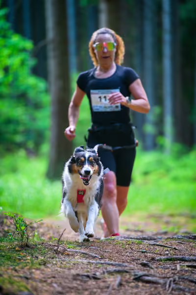 Krkonošský canicross - Jilemnice – 30. května 2026