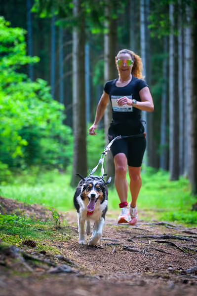 Krkonošský canicross - Jilemnice – 30. května 2026