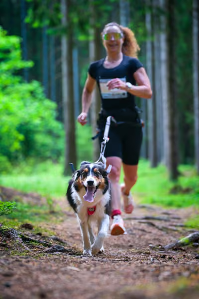 Krkonošský canicross - Jilemnice – 30. května 2026