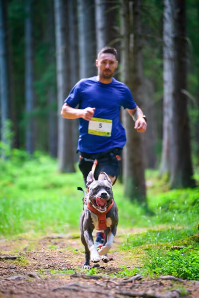 Krkonošský canicross - Jilemnice – 30. května 2026