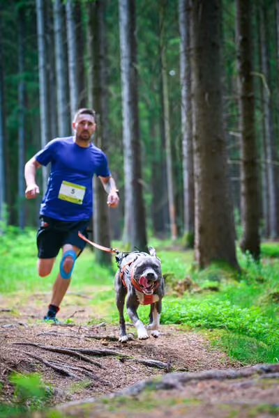 Krkonošský canicross - Jilemnice – 30. května 2026