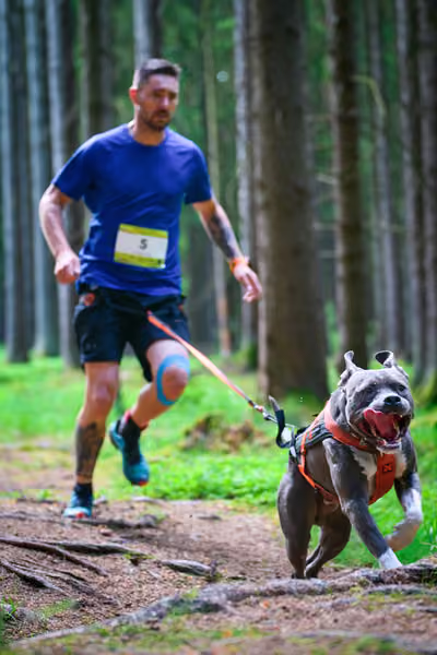 Krkonošský canicross - Jilemnice – 30. května 2026