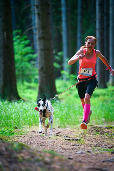 Krkonošský canicross - Jilemnice – 30. května 2026