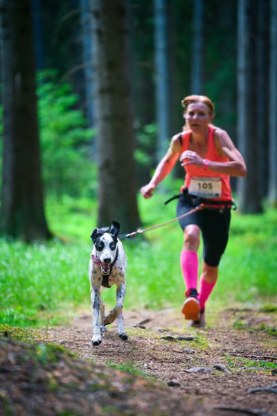 Krkonošský canicross - Jilemnice – 30. května 2026