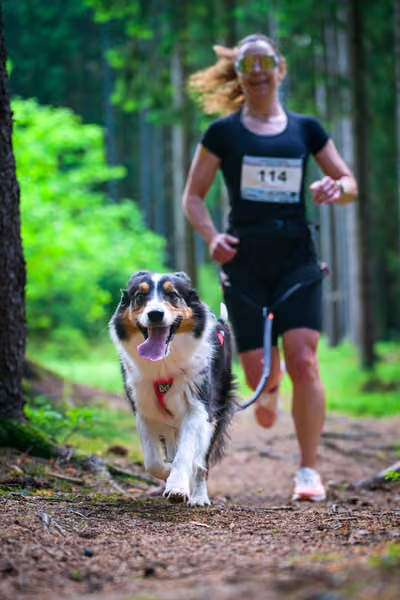 Krkonošský canicross - Jilemnice – 30. května 2026