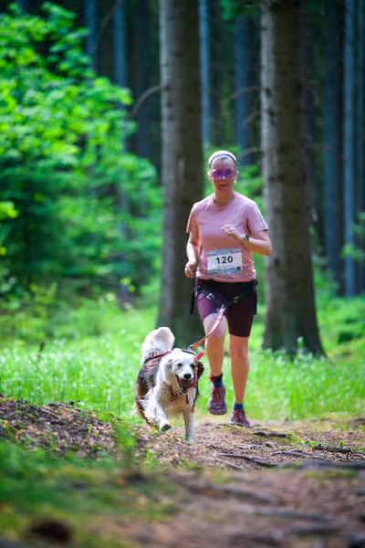 Krkonošský canicross - Jilemnice – 30. května 2026