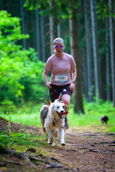 Krkonošský canicross - Jilemnice – 30. května 2026
