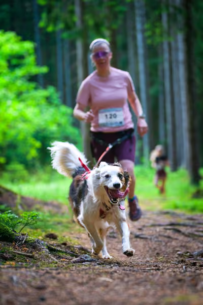 Krkonošský canicross - Jilemnice – 30. května 2026