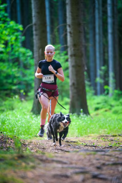 Krkonošský canicross - Jilemnice – 30. května 2026