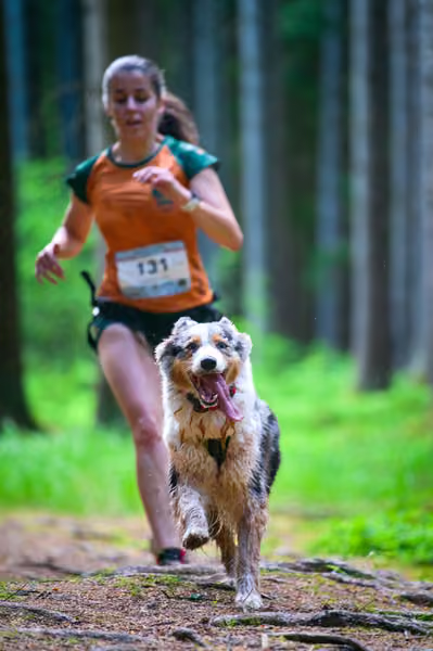 Krkonošský canicross - Jilemnice – 30. května 2026