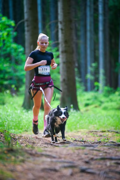 Krkonošský canicross - Jilemnice – 30. května 2026