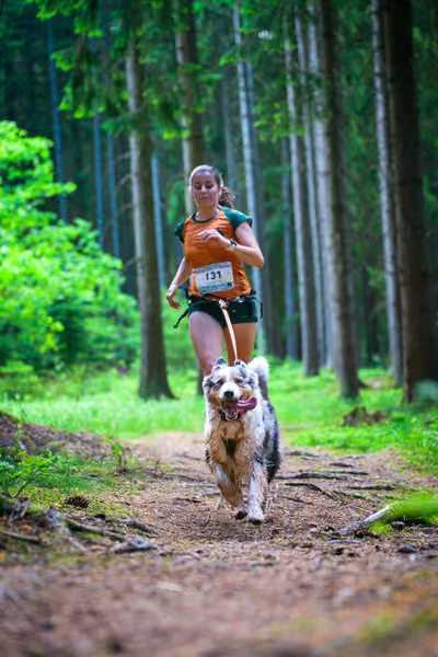 Krkonošský canicross - Jilemnice – 30. května 2026
