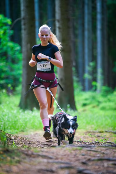 Krkonošský canicross - Jilemnice – 30. května 2026