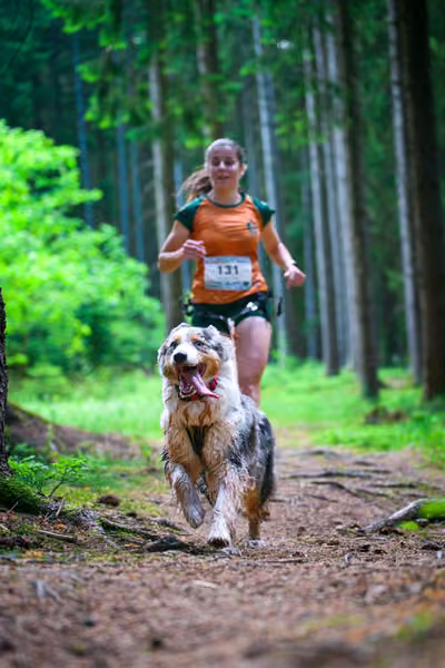 Krkonošský canicross - Jilemnice – 30. května 2026
