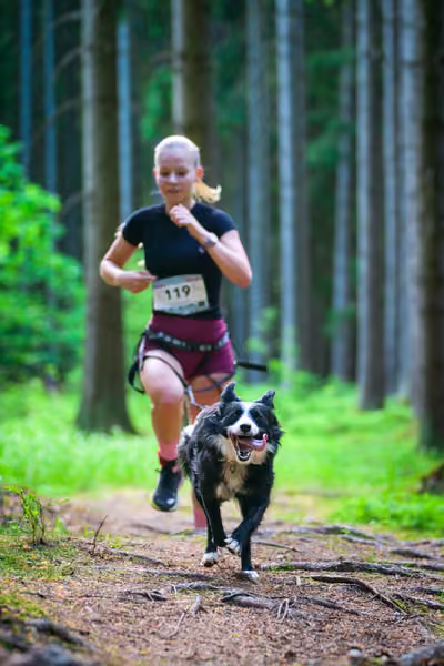 Krkonošský canicross - Jilemnice – 30. května 2026