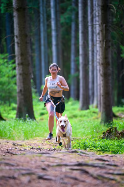 Krkonošský canicross - Jilemnice – 30. května 2026