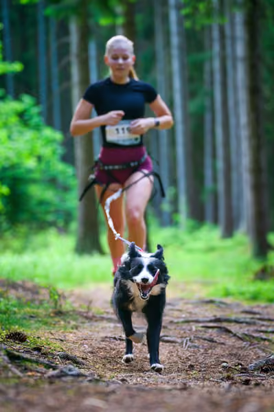 Krkonošský canicross - Jilemnice – 30. května 2026
