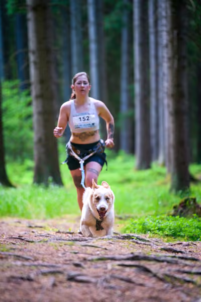 Krkonošský canicross - Jilemnice – 30. května 2026