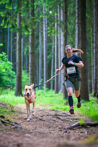 Krkonošský canicross - Jilemnice – 30. května 2026