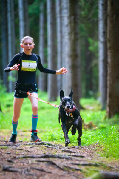 Krkonošský canicross - Jilemnice – 30. května 2026