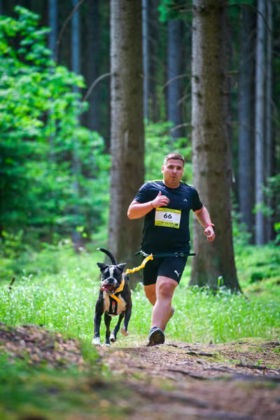 Krkonošský canicross - Jilemnice – 30. května 2026