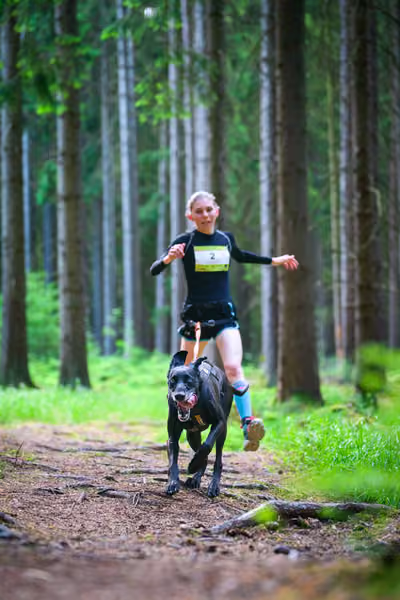 Krkonošský canicross - Jilemnice – 30. května 2026