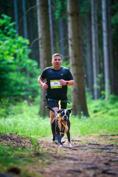 Krkonošský canicross - Jilemnice – 30. května 2026