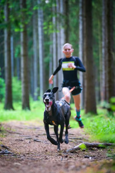 Krkonošský canicross - Jilemnice – 30. května 2026