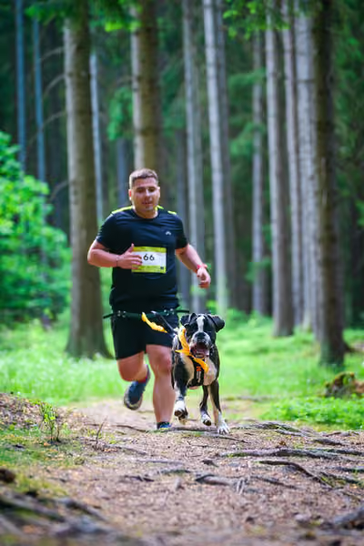 Krkonošský canicross - Jilemnice – 30. května 2026
