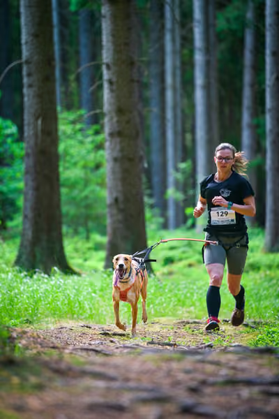 Krkonošský canicross - Jilemnice – 30. května 2026