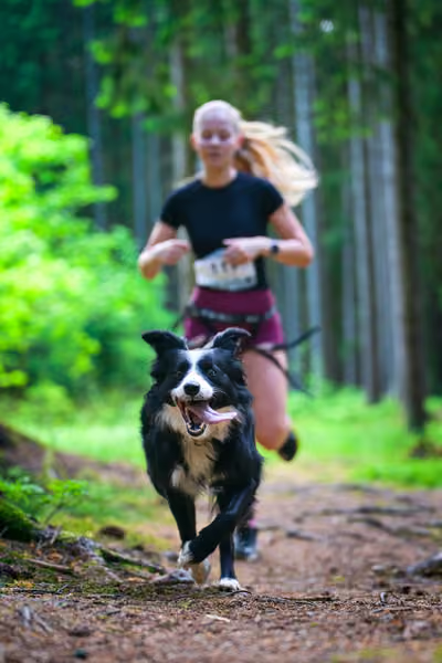 Krkonošský canicross - Jilemnice – 30. května 2026