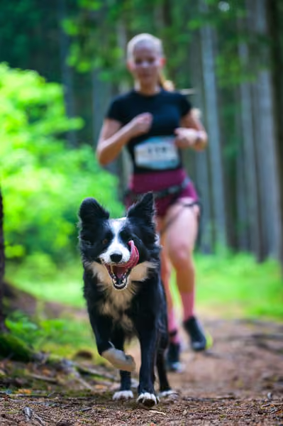 Krkonošský canicross - Jilemnice – 30. května 2026