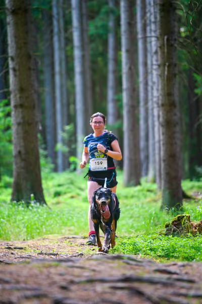 Krkonošský canicross - Jilemnice – 30. května 2026