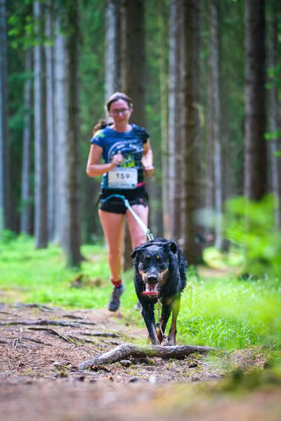 Krkonošský canicross - Jilemnice – 30. května 2026
