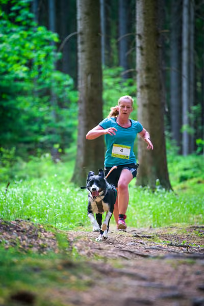 Krkonošský canicross - Jilemnice – 30. května 2026