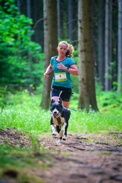 Krkonošský canicross - Jilemnice – 30. května 2026