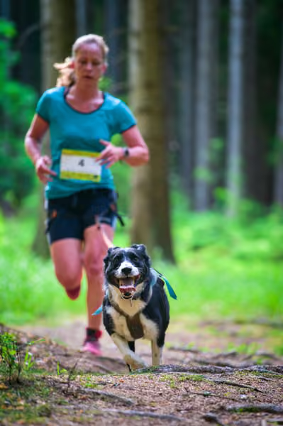 Krkonošský canicross - Jilemnice – 30. května 2026